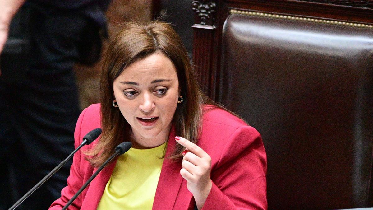 La titular de la Cmara baja Cecilia Moreau est en el cuarto lugar de la lista bonaerense Foto Victoria Gesualdi