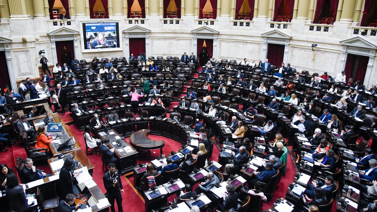 Los diputados y diputadas primero debern consagrarse como candidatos en las primarias abiertas simultneas y obligatorias PASO del 13 de agosto