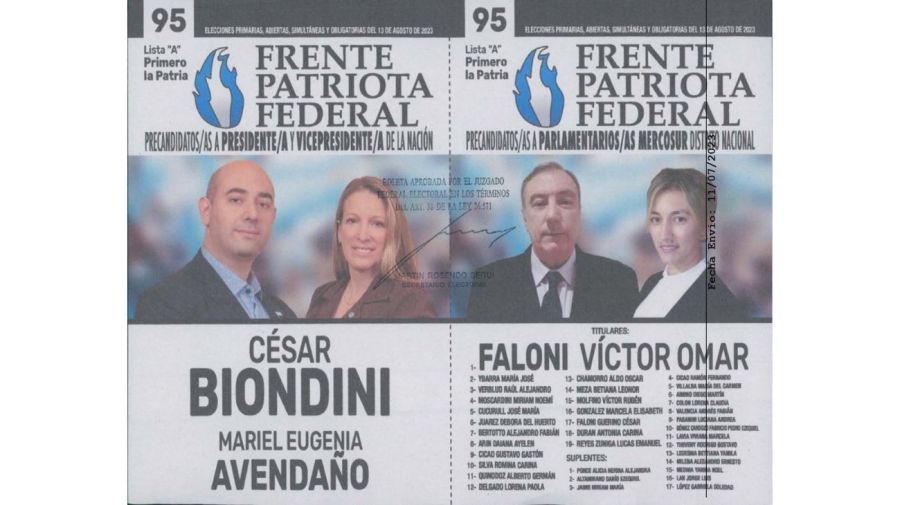 Boleta del Frente Patriota Federal - Biondini